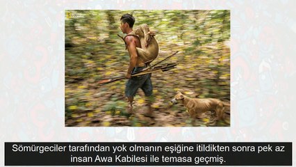 Brezilya Amazonlarının yerli halkı Awa kabilesine bakın! Hayvanları emziriyorlar