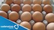 Huevo sube a 100 pesos el kilo de Guerrero tras escasez de comida