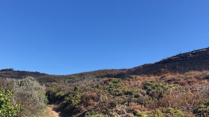 Les feux de lande maîtrisés, ici près de Sauzon