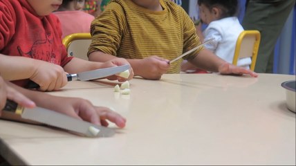 Les élèves de l'école Lafayette de Vienne étudient la pomme. Interview de sa directrice, Marie-Liesse Coeur.