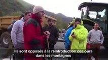 Pyrénées: blocage des routes contre l'arrivée des ours