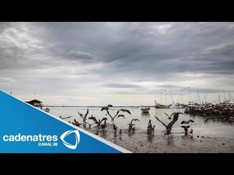 Tormenta tropical Manuel causa inundaciones en Lázaro Cardenas, Michoacán