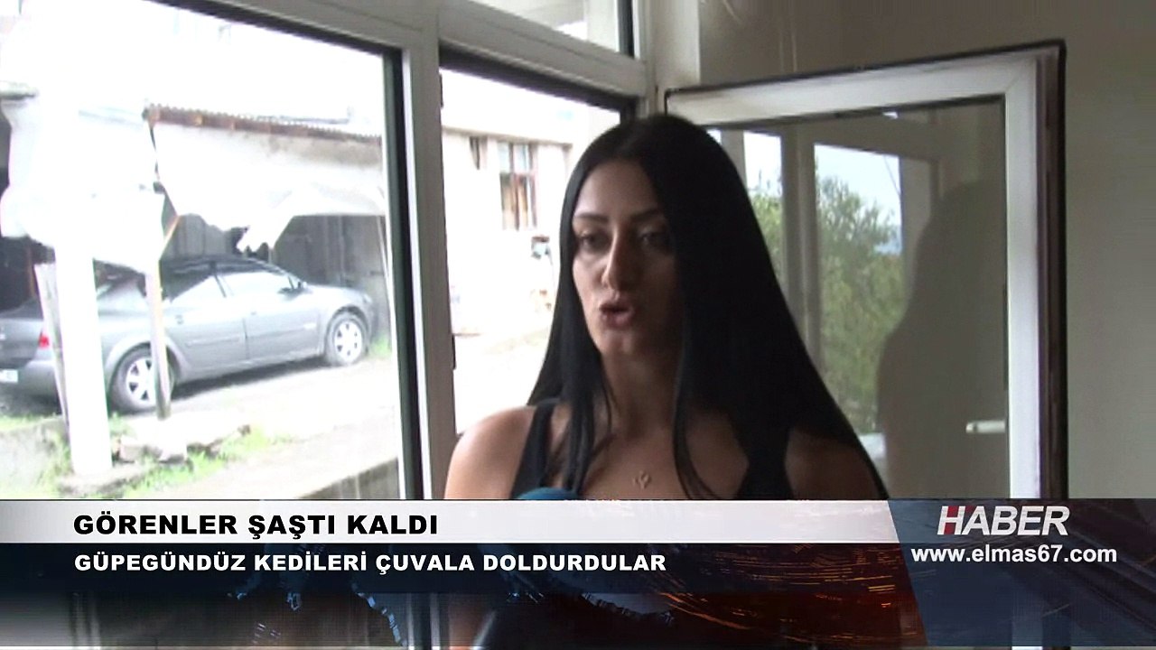 Güpegündüz kedileri çuvala doldurdular