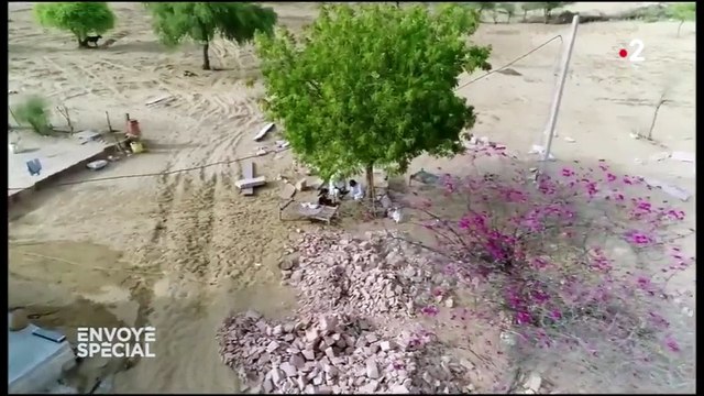 En Inde, l'homme qui fait pousser des arbres là où il fait 50 degrés et où il ne pleut qu'une fois par an