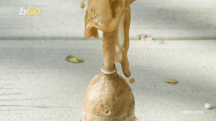 Study Shows Diet Soda Turns Gut Bacteria Toxic