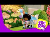 The Amazing Pegasus | Zack & Quack | ZeeKay Junior
