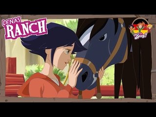 Treffen Mistral | Lenas Ranch