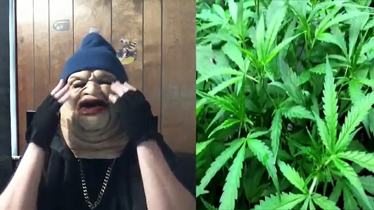 BDF Network (BBT_BDF YTP) BBT And BDF Crew Advocates The PG Era! (Snake Gaiden) REACTION!!!