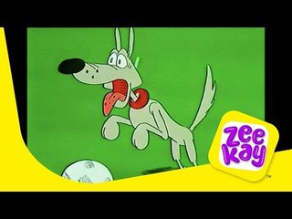 Foxes Vs Dogs | Episode 6 | Zoo Cup