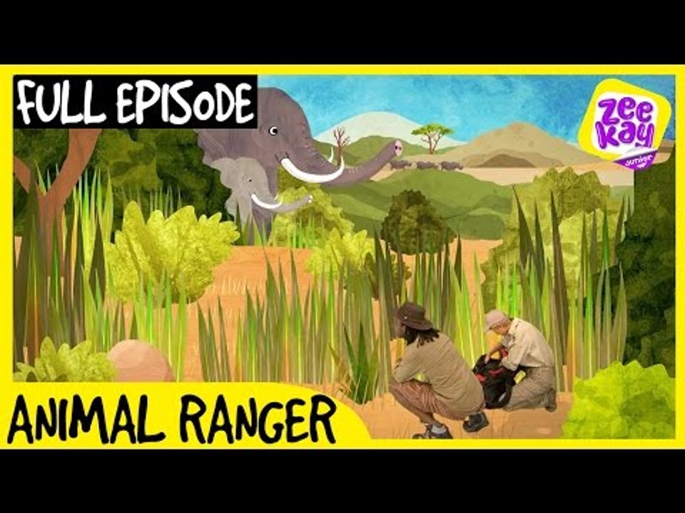 Let’s Play: Animal Ranger! | FULL EPISODE | ZeeKay Junior