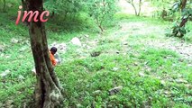 झाड़ियो में जंगल में मंगल करते हुये प्रेमी !! jangal main mangal video 2018 // jmc