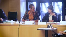 Questions à Christine Lazerges (CNCDH) - Service publics Outre-mer - cese