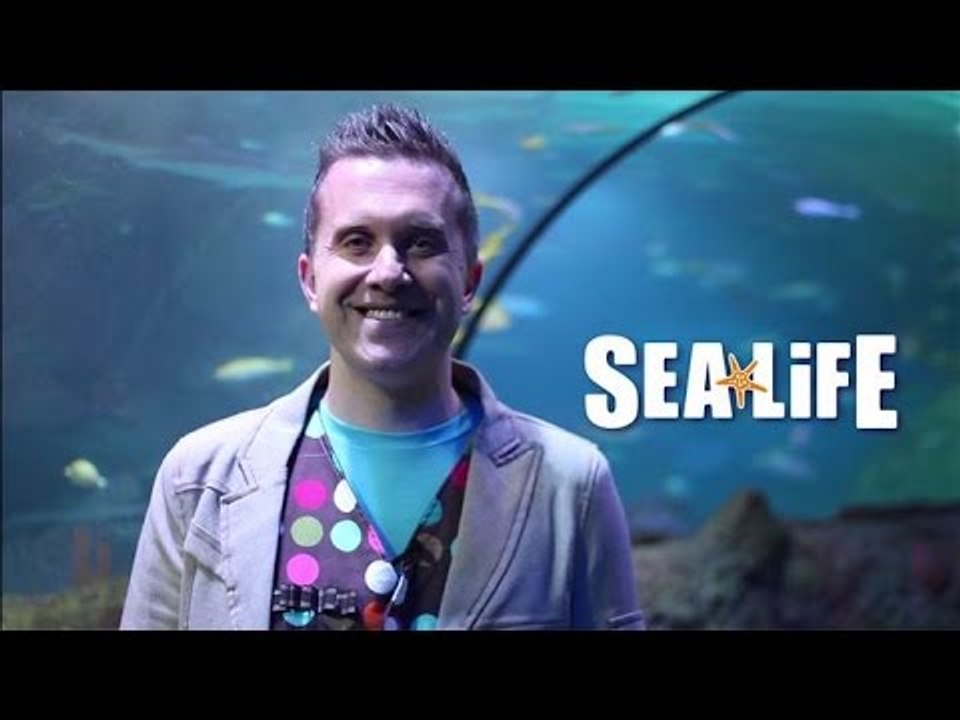 Mister Maker's SeaLife Creature Makes! | Mister Maker