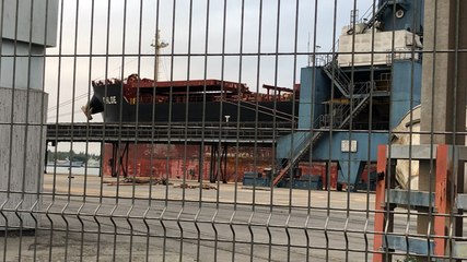 Rassemblement anti-OGM devant le cargo Chloé