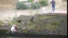 Mulher resgata cachorro que não conseguia sair da água