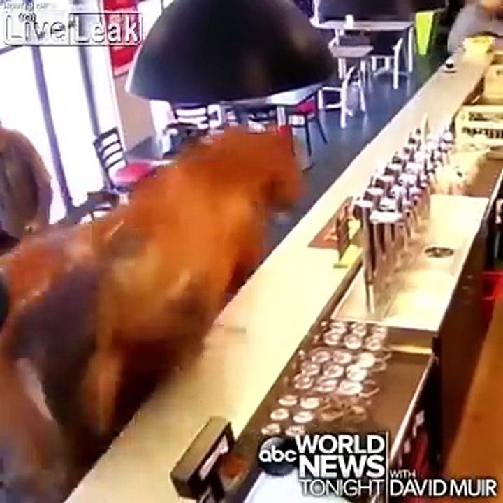 Ce cheval sème la terreur dans un Bar en pleine journée !