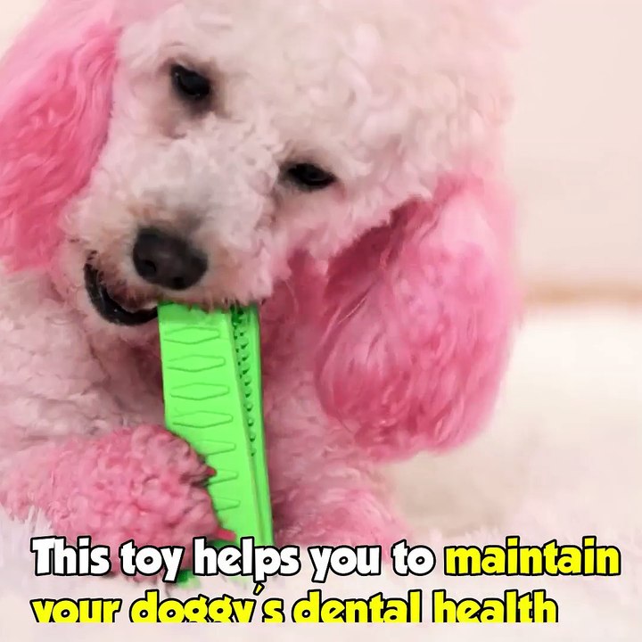 Dog Brushing Stick