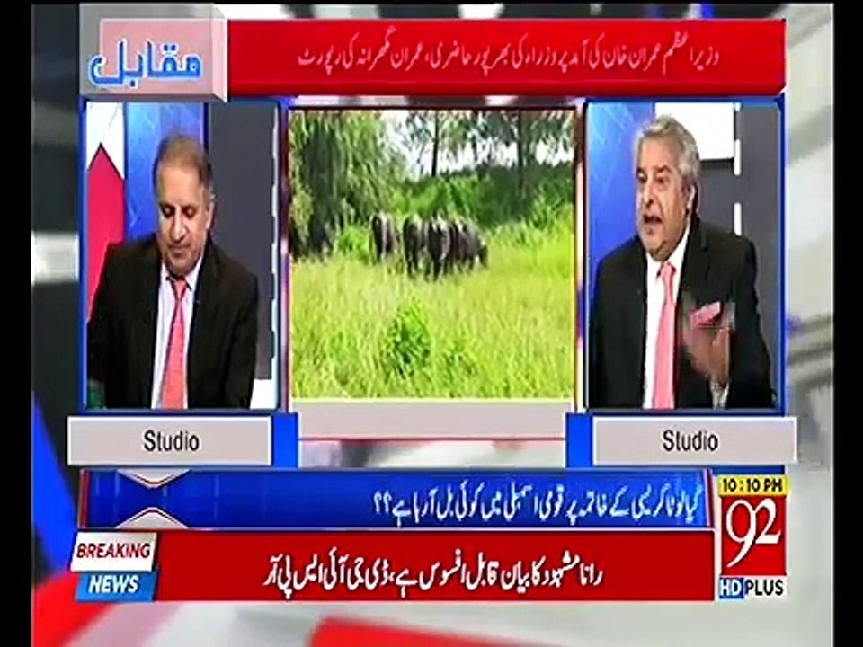 Buffaloes Auction has turned into taunts for PTI govt - Amir Mateen praises Murad Saeed speech in NA