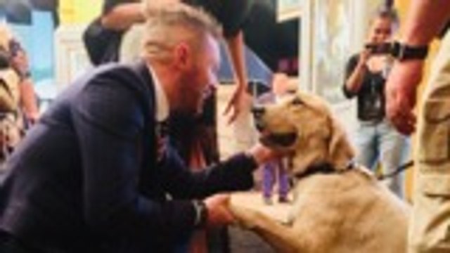 'Venom' Stars Gush Over Tom Hardy: He Transforms Himself | 'Venom' Premiere