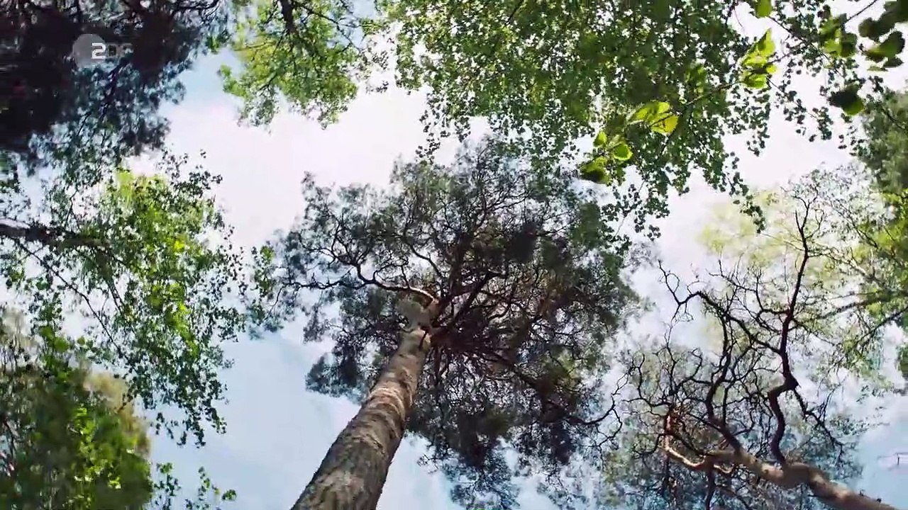 Inga Lindström Die andere Tochter - 2/2 - DE 2018