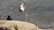 Un touriste trouve un grand requin blanc échoué