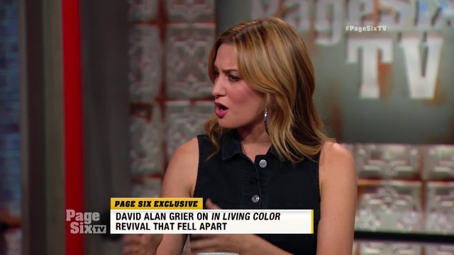 Will the iconic #InLivingColor reboot ever happen? We caught up with @davidalangrier, and his answer might surprise you! #PageSixTV