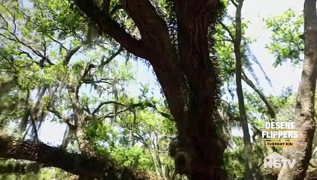 Island Life S13E04 A View from the Treetops on Fidalgo Island September 30,2018