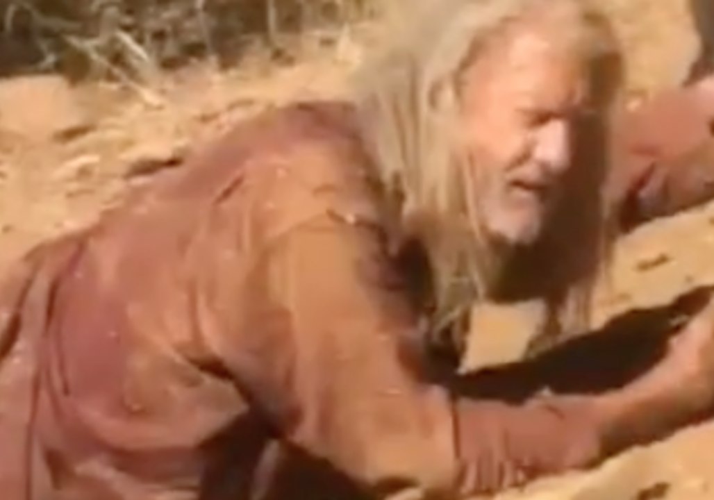 Loyal Dog Leads Truck Driver to Injured Owner in California