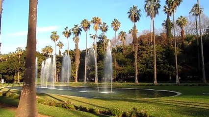Jets d'eau.  نفورات