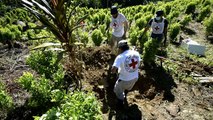 Los desaparecidos de los cultivos cocaleros en Colombia