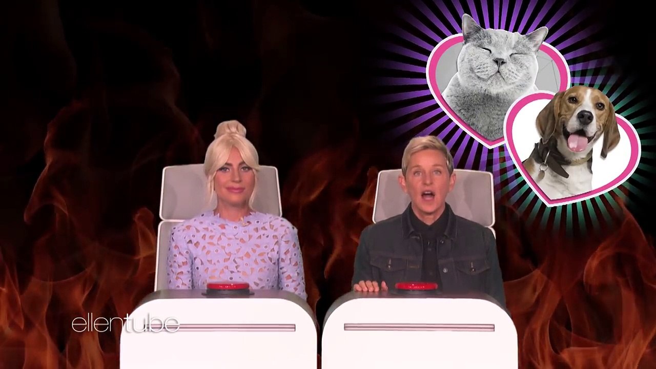 Lady Gaga Reveals Celebrity Crush in Ellen’s ‘B...