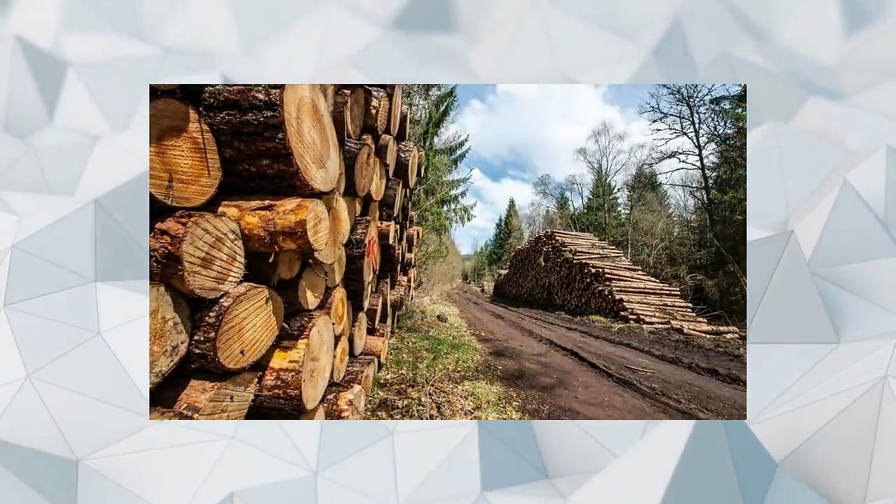 10 NAJBARDZIEJ ZNIENAWIDZONYCH POLAKÓW