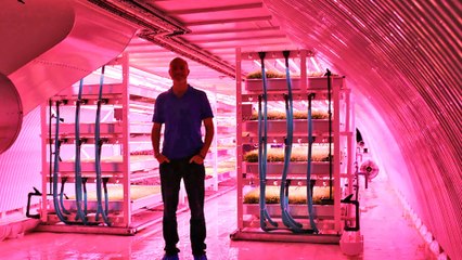 Underground Farm Produces Over 2 Tons of Food Per Month