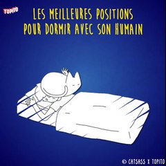 La dure vie des propriétaires de félins !