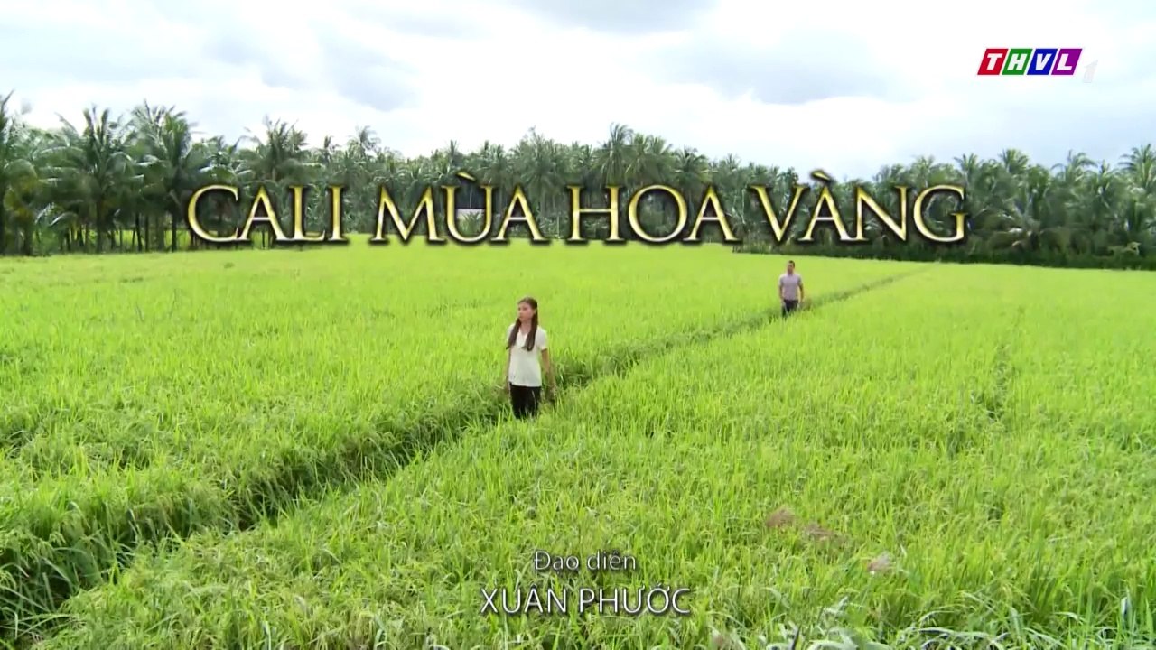 Cali Mùa Hoa Vàng Tập 9 - Phim Việt Nam