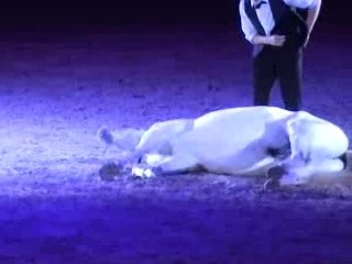 NUIT DU CHEVAL, GUILLAUME ASSIR-BECAR