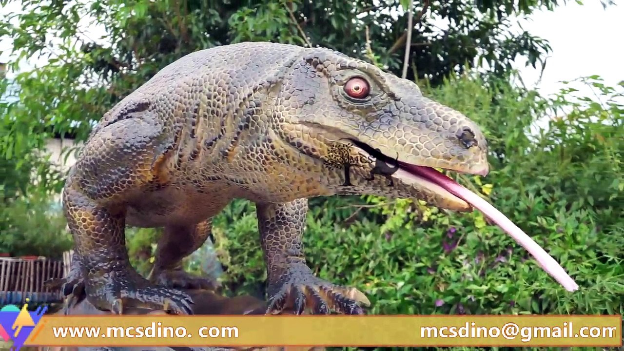 AFM003-Megalania Model