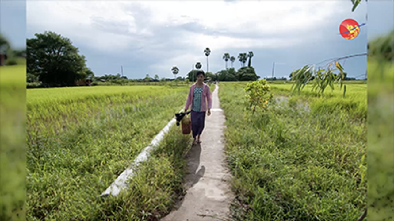 ရန္ကုန္ၿမိဳ႕ရွိ လယ္ေျမမ်ား သိန္းေထာင္ခ်ီ တန္သည္ဆိုေသာ္လည္း ဝယ္မည့္သူ မရွိဟုဆို (ရုပ္/သံ)