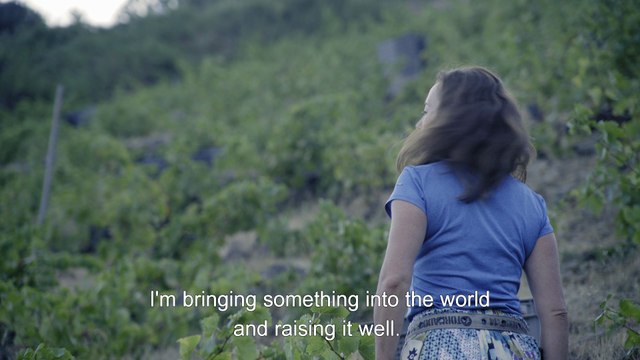 Wine Calling / Wine Calling - Le Vin se lève (2018) - Trailer (English Subs)