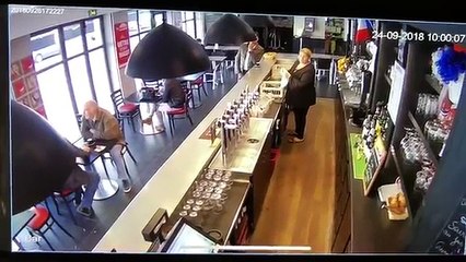 Un cheval sinvite dans une brasserie à Chantilly