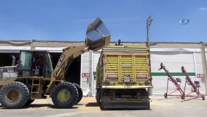 - Hububatçılar: “Bize buğday ithal etmek yakışmıyor”