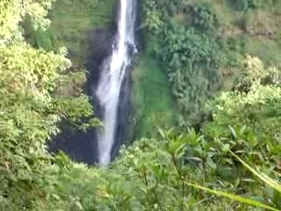 DSCF9420