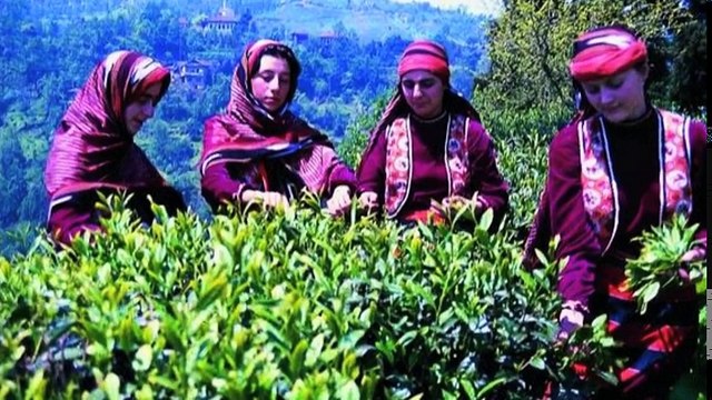 Karadeniz Şarkıları - Dertli Damar Karadeniz Şarkıları 2017