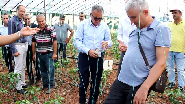Serik'te solucan gübresi ile tarım uygulaması yapıldı