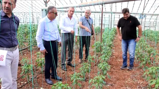 Serik'te Solucan Gübresi ile Tarım Uygulaması Yapıldı