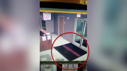 Agente en shock: ¿Un fantasma por delante de mi puerta?