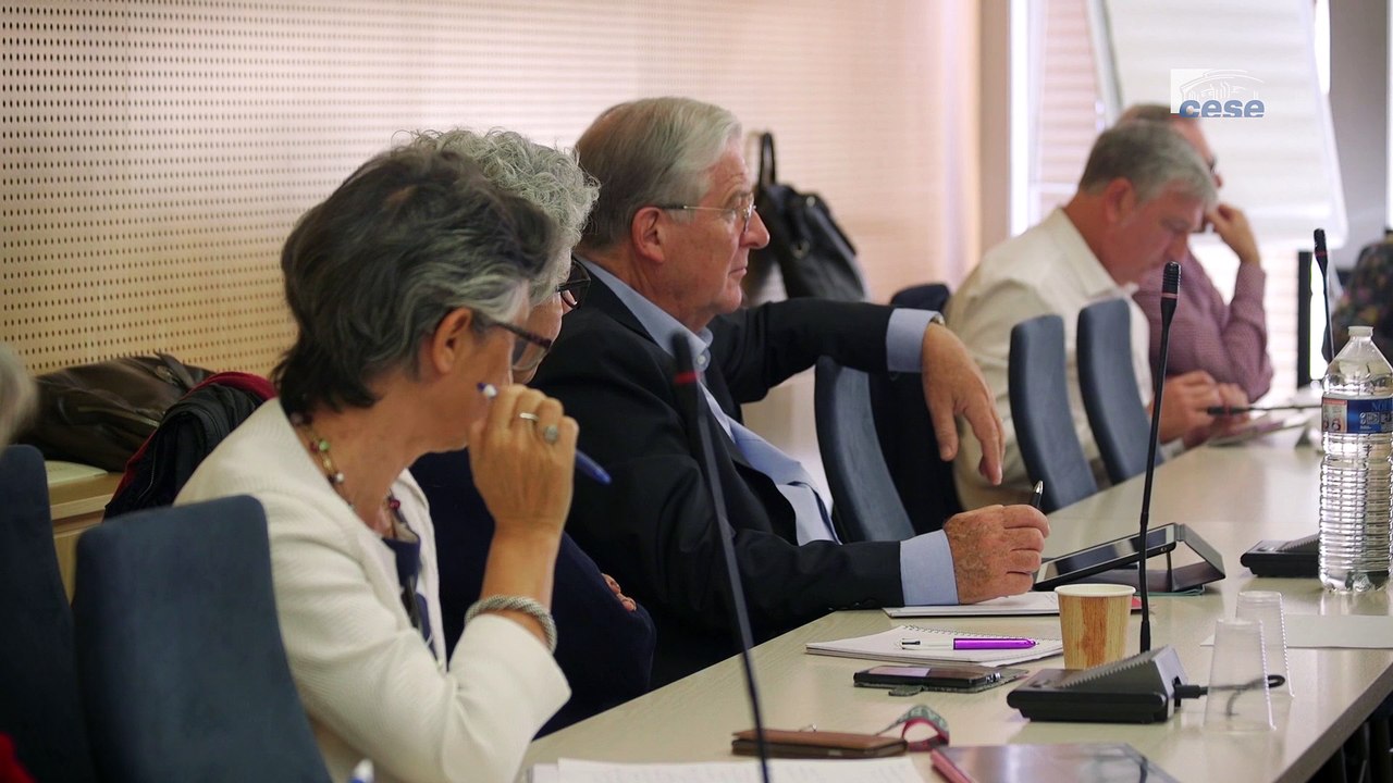 Questions à François MANDIL (CNAJEP) - éducation populaire - cese