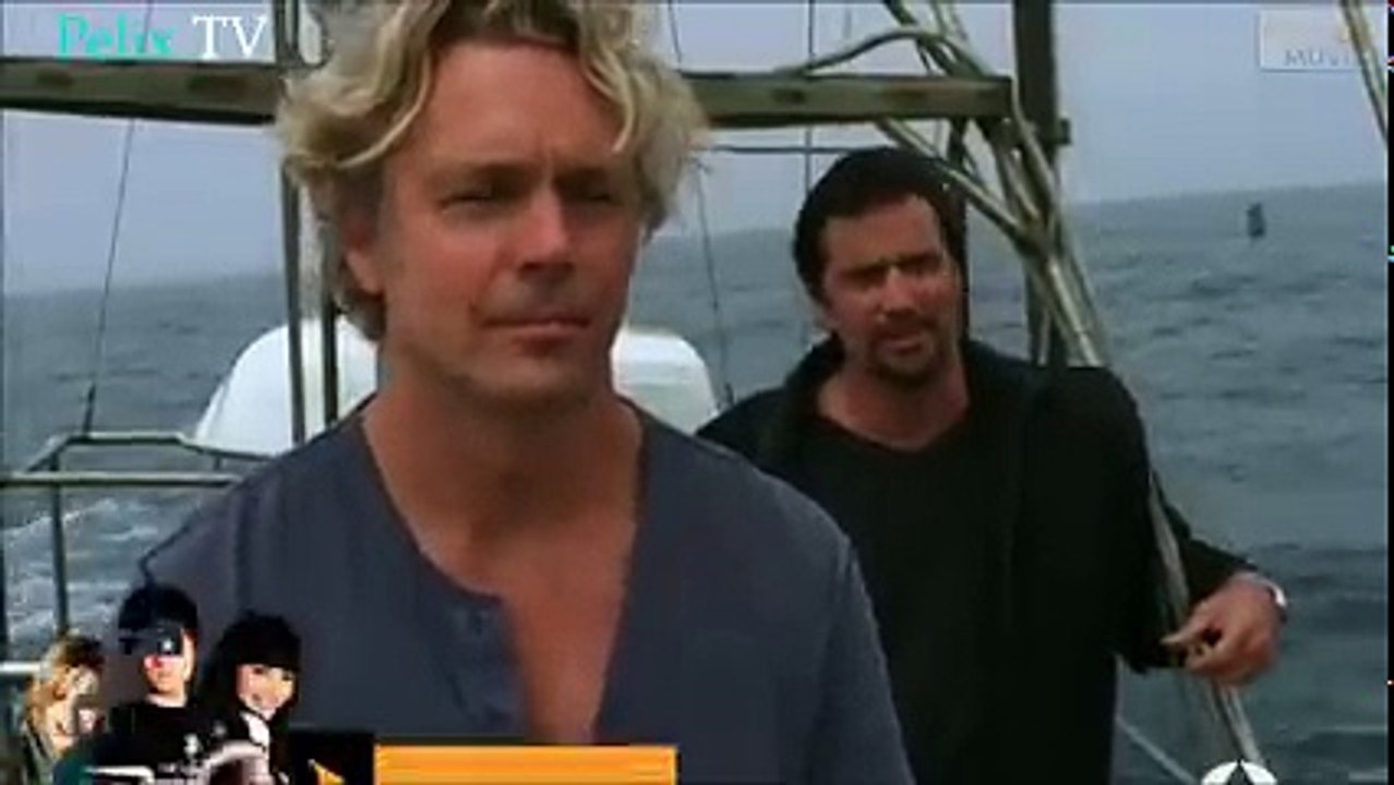 Ver Alerta Tiburones pelicula en español parte 3
