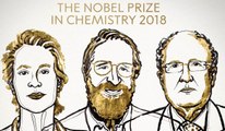 Nobel Kimya Ödülü Frances H. Arnold, George P. Smith ve Gregory P. Winter'a Verildi