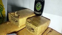 PM apreende 15 kg de maconha da rodoviária